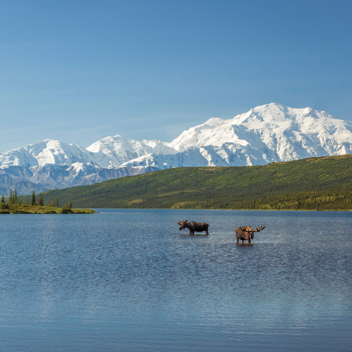Travel Alaska with Virtuoso
